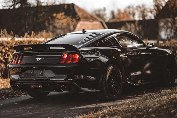 Bizz Kasyno Aplikacja Android/iOS